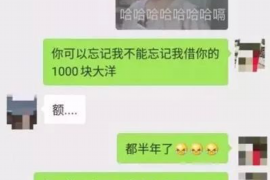 德宏为什么选择专业追讨公司来处理您的债务纠纷？